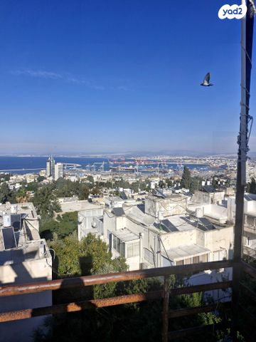 דירה, חסן שוקרי, שוק תלפיות, חיפה