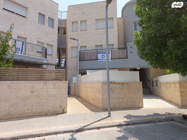 חסידה 29
