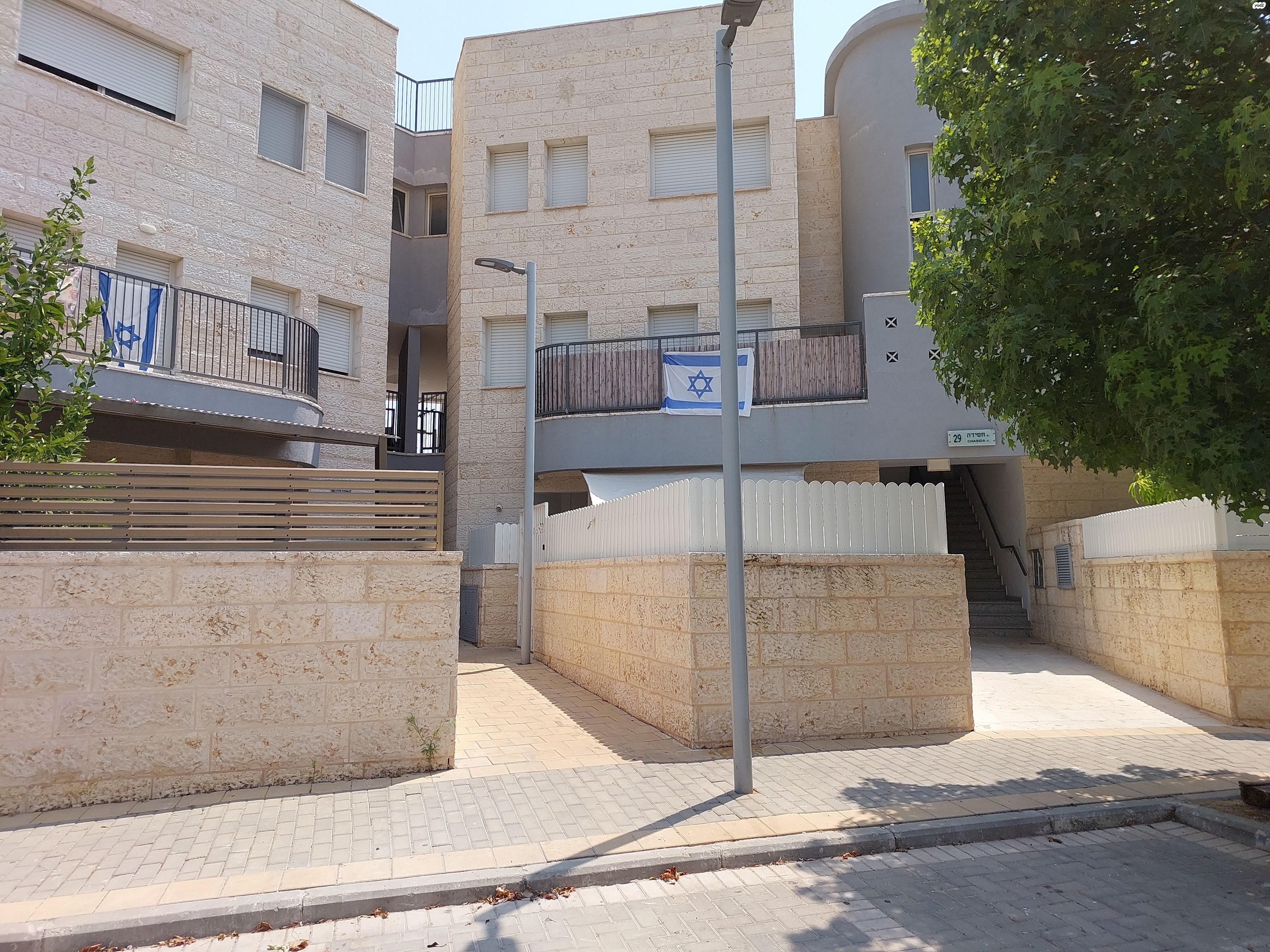 חסידה 29
