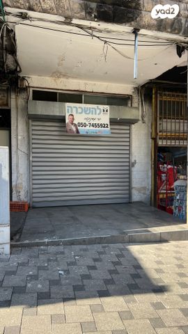 הנביאים 