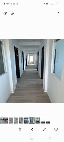 משרדים, שאר העיר, נס ציונה