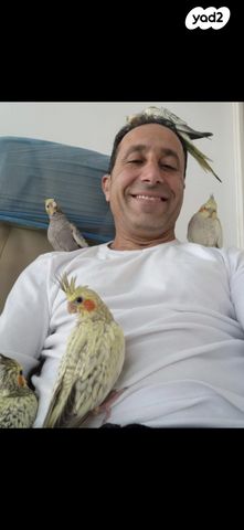 תמונת מודעה - חיות מחמד