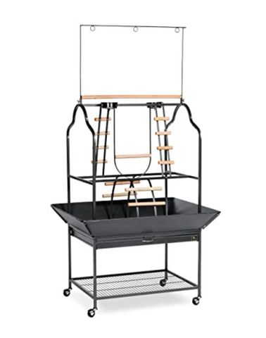 אביזרים | סטנד לתוכי