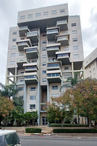 דירה, הר הצופים, רחובות ההולנדית, רחובות