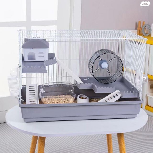 תמונת מודעה - חיות מחמד