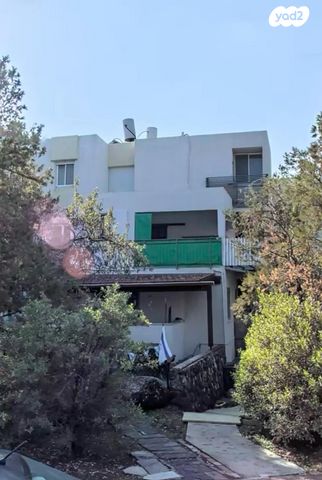 הדודאים 11