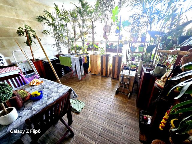 דירה, בית אל, תל אביב יפו