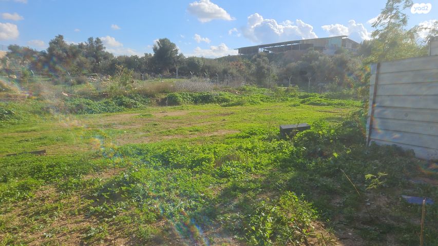 משק חקלאי/ נחלה, הדקל 1, אחיהוד, אחיהוד