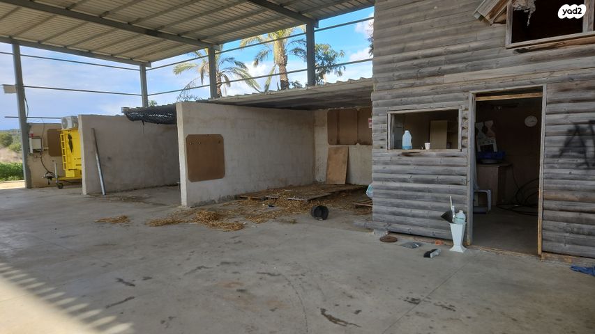 משק חקלאי/ נחלה, הדקל 1, אחיהוד, אחיהוד