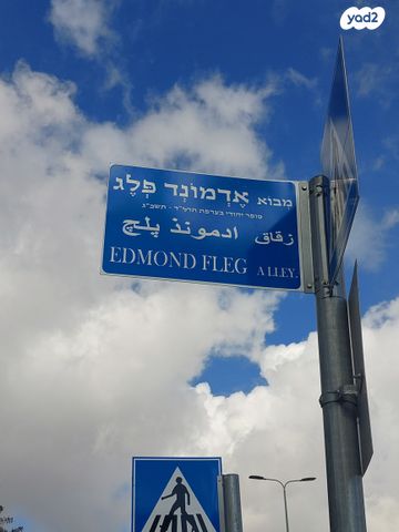 אדמונד פלג 