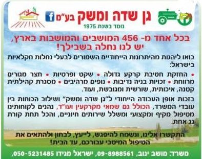 בית פרטי/ קוטג'