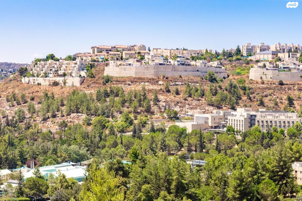 הנמר 