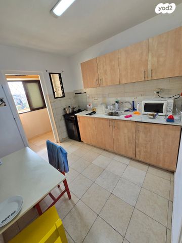 השומר הצעיר 