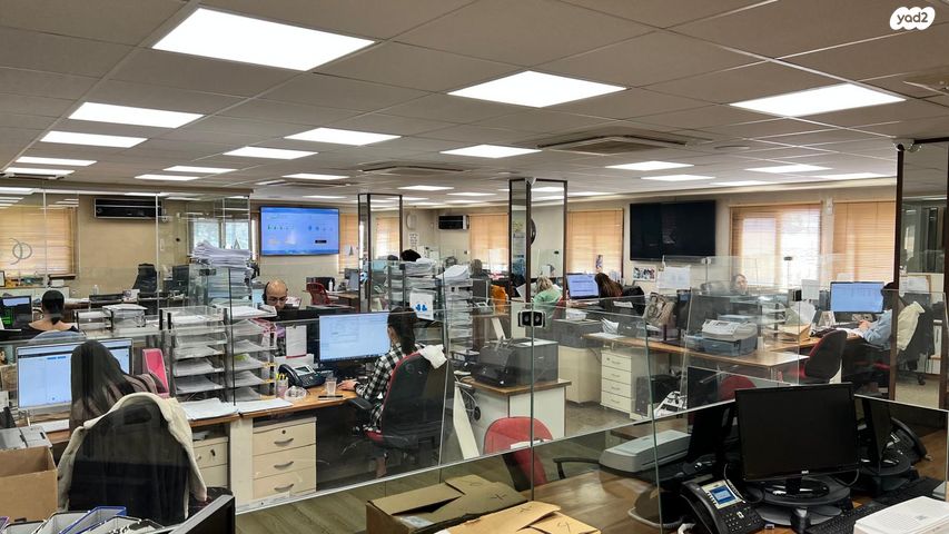 מגרשים, המושבה הגרמנית, חיפה