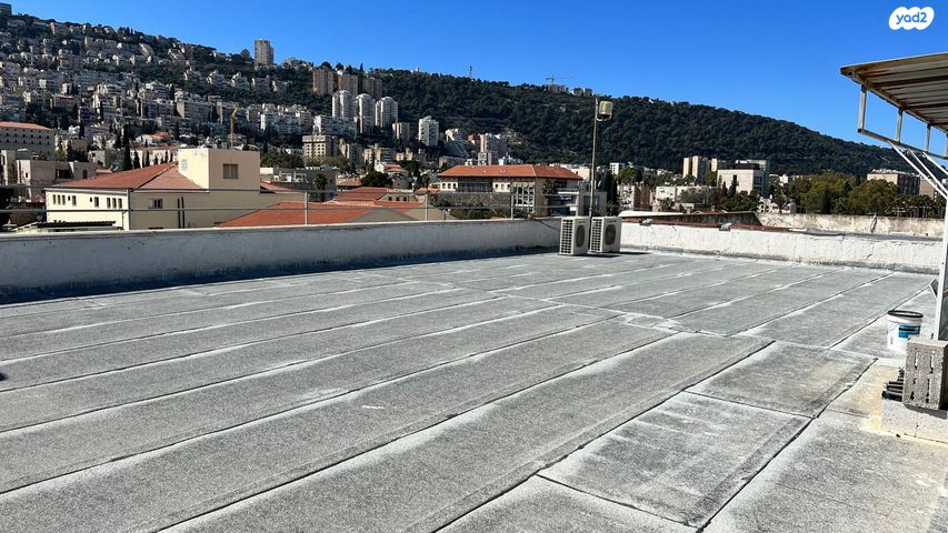 מגרשים, המושבה הגרמנית, חיפה