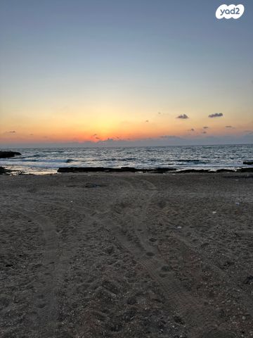 מגרשים