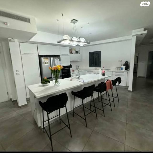 יונתן נתניהו 2