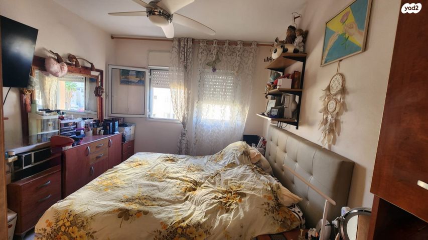 דירה, שיזף, השופטים צפון, רמלה