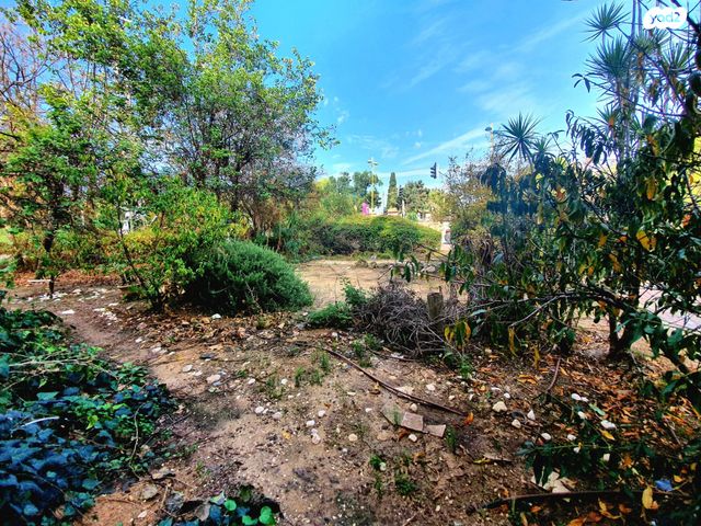 דירת גן, מקווה ישראל 10, אגרובנק, חולון