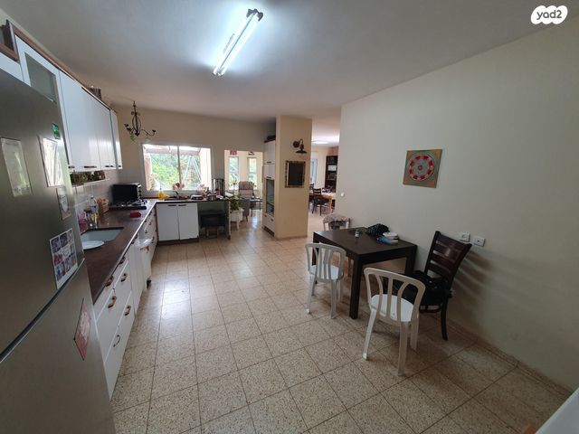 ברקת 16