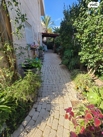 דירת גן, אור עקיבא