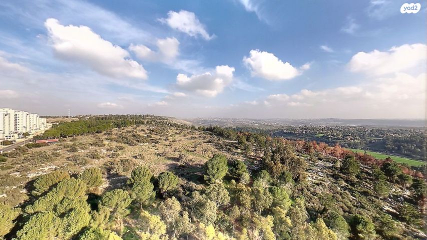 גג/ פנטהאוז, צור יצחק