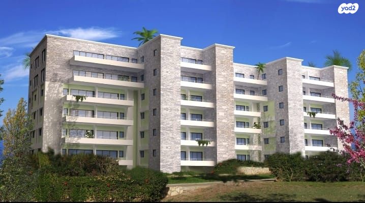 דירה, נגבה, נס ציונה