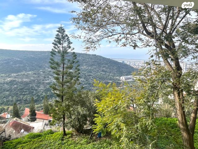 שארית הפליטה 