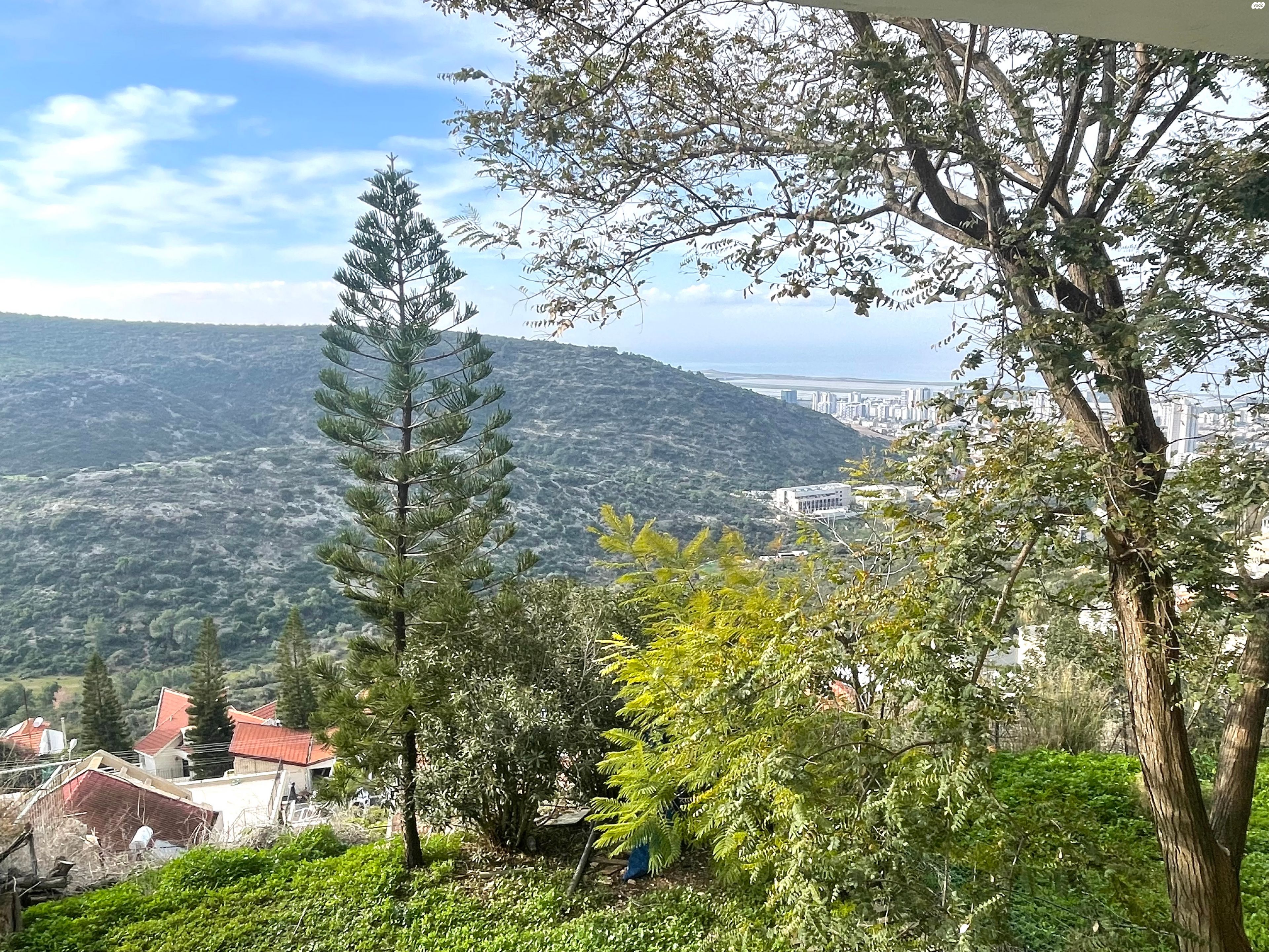 שארית הפליטה 