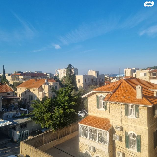 מאיר רוטברג 