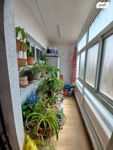 דירה, הזית, רמות ויצמן, יבנה