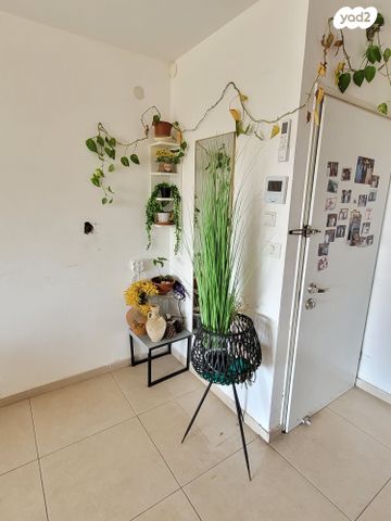 דירה, יסוד המעלה, שאר העיר, הוד השרון