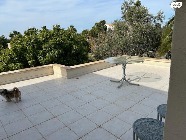 דו משפחתי, קיסריה