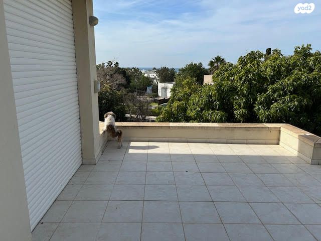 דו משפחתי, קיסריה