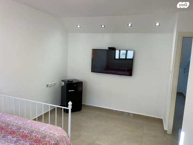 אריה בן אליעזר 24