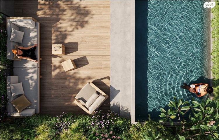 הצפון החדש - דרום