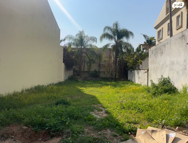 מגרשים, קרית אונו