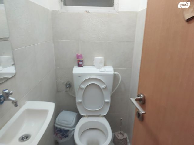 דירה, המתמיד, ג'סי כהן, חולון