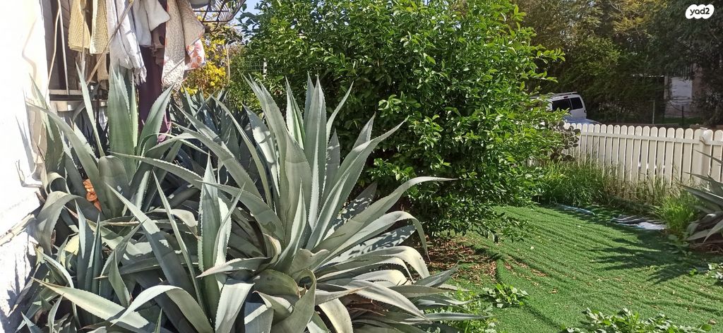 דירה, התחייה, רמת יוסף, בת ים