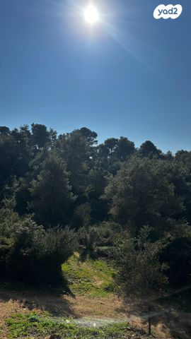 שבדיה 