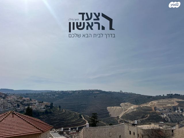 שבט בנימין 
