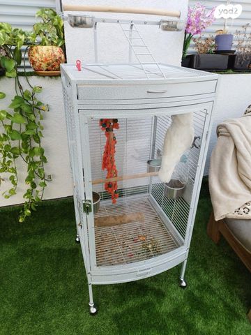 אביזרים | כלוב