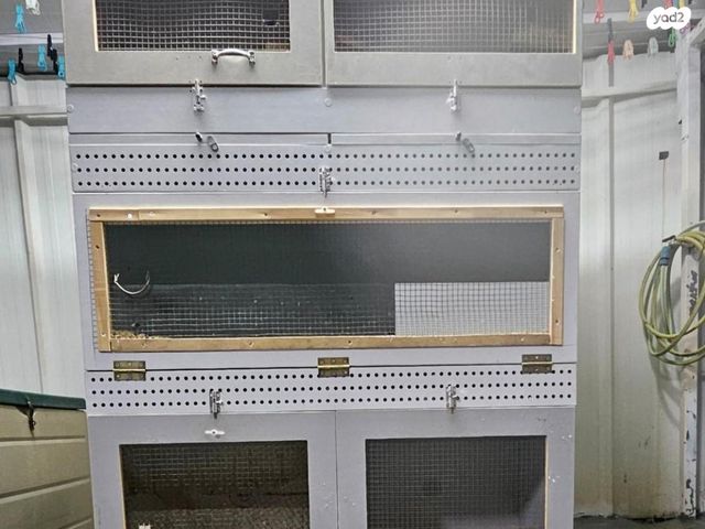 תמונת מודעה - חיות מחמד