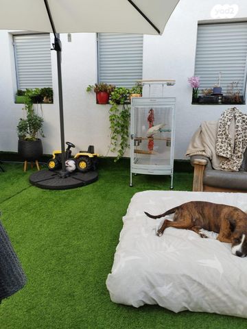 אביזרים | כלוב