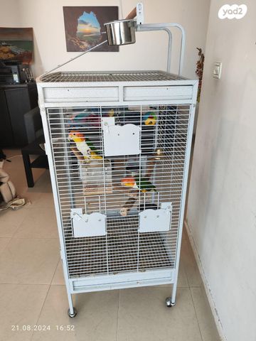 אביזרים | כלוב