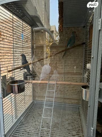 אביזרים | כלוב