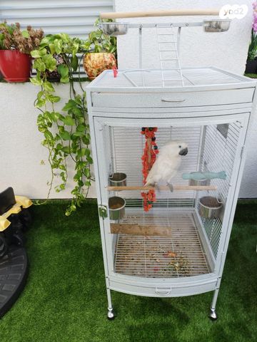 אביזרים | כלוב