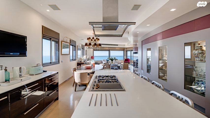 גג/ פנטהאוז, נתניה