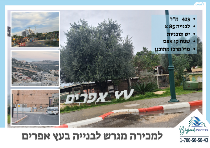 האלון 