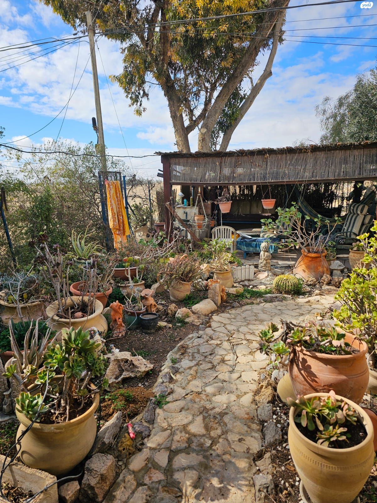 נעורים